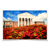 Ole Miss Rebels - Lyceum Paint - College Wall Art #Poster