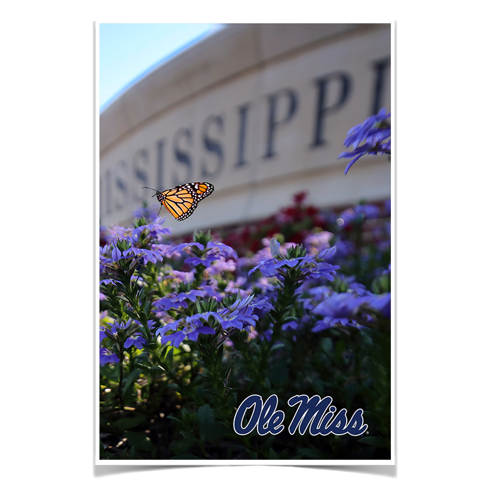 Ole Miss Rebels - Ole Miss Blue - College Wall Art #Canvas