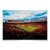 Ole Miss Rebels - Enter Ole Miss - College Wall Art #Canvas