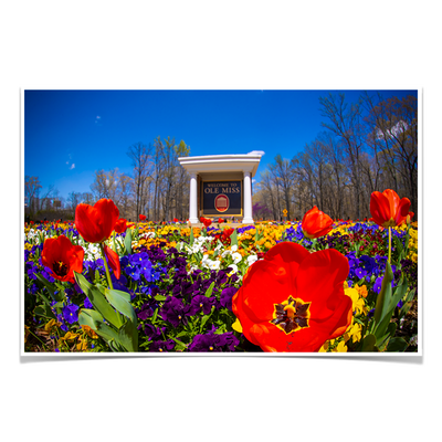 Ole Miss Rebels - 2021 Tulip Circle - College Wall Art #Poster