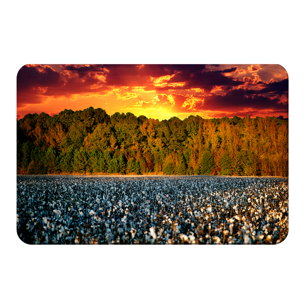 Cotton Field -College Wall Art #Canvas