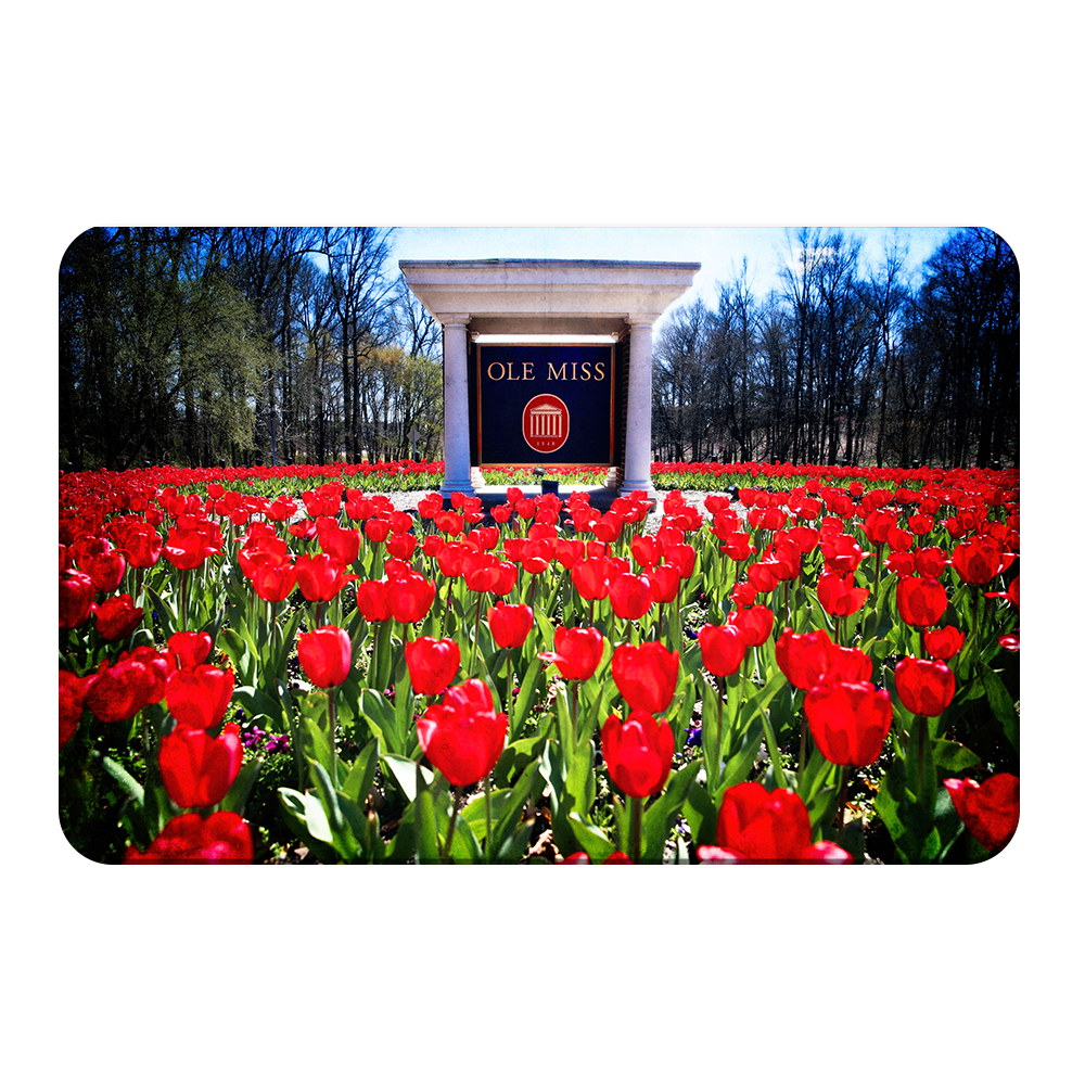 Ole Miss Rebels - Spring Flowers - College Wall Art #C