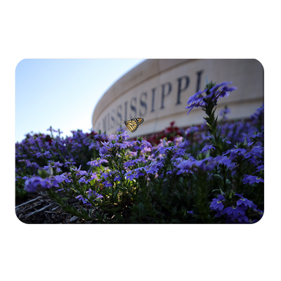 Ole Miss Rebels - Mississippi Butterfly - College Wall Art #PVC