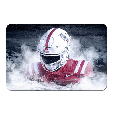 Ole Miss Rebels - Blood In The Water - College Wall Art #PVC