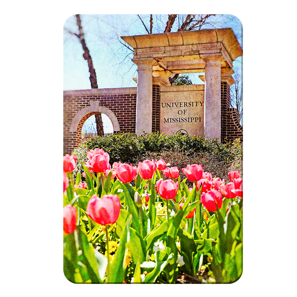 Ole Miss Rebels - University of Mississippi Spring Entrance - College Wall Art #Canvas