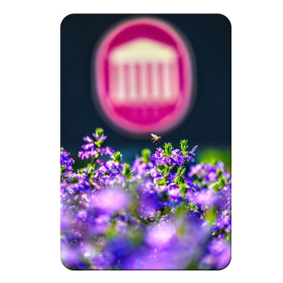 Ole Miss Rebels - Ole Miss Honey Bee -College Wall Art #PVC