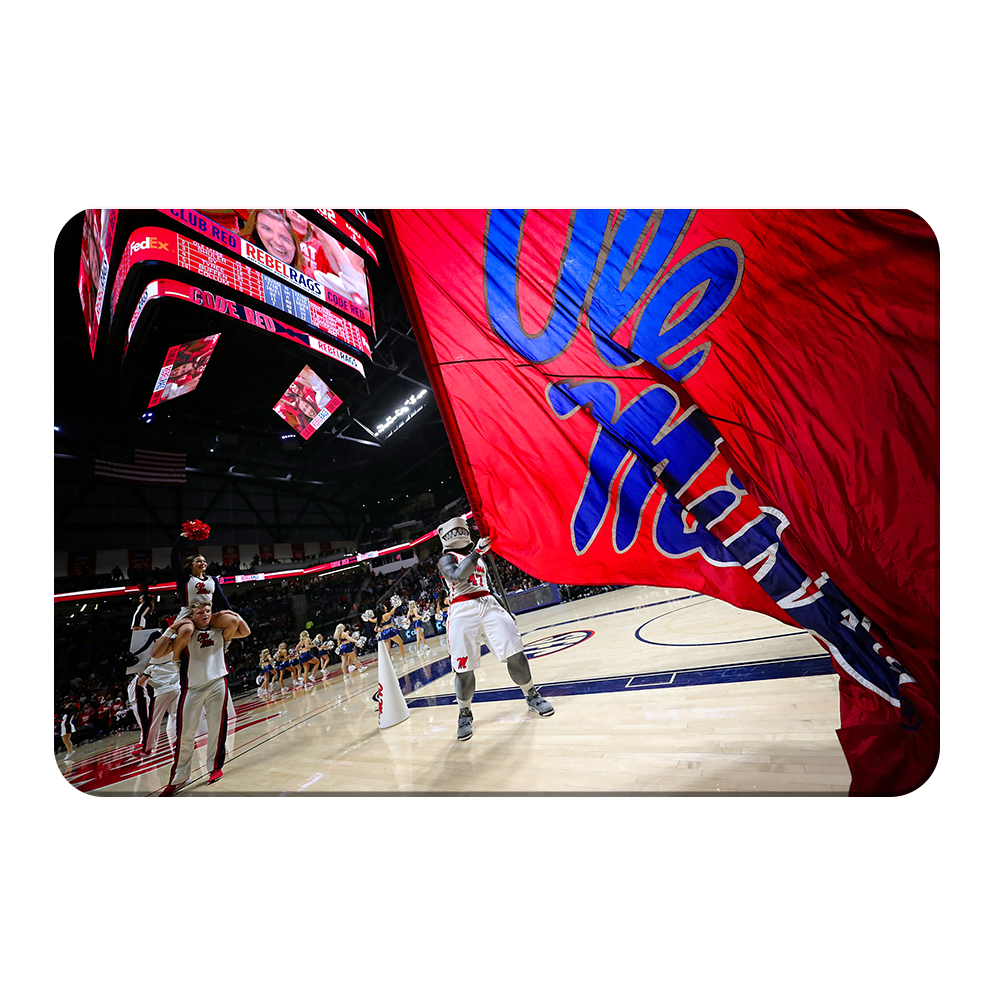 Official Detroit Pistons Collages, Wall Art