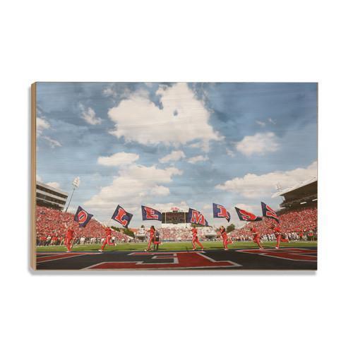 Ole Miss Rebels - O-L-E-M-I-S-S - College Wall Art #Canvas