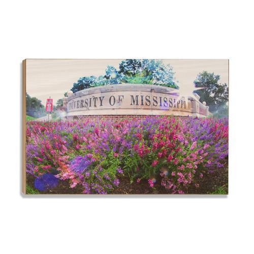 Ole Miss Rebels - University of Mississippi - College Wall Art #Canvas