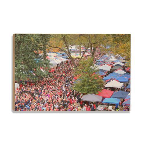 Ole Miss Rebels - Aerial Grove - College Wall Art #Canvas