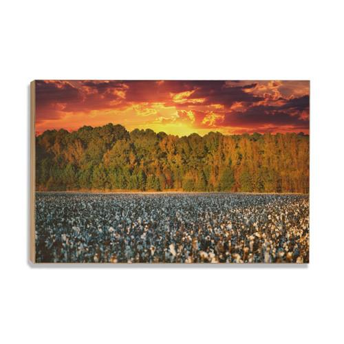 Cotton Field -College Wall Art #Canvas