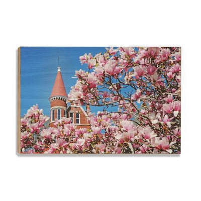 Ole Miss Rebels - Cherry Blossom Ventress - College Wall Art #Wood