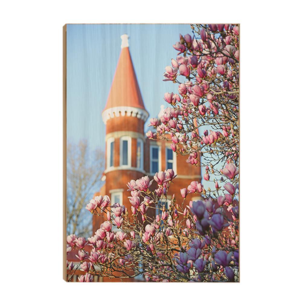 Ole Miss Rebels - Spring at Ole Miss - College Wall Art #Canvas
