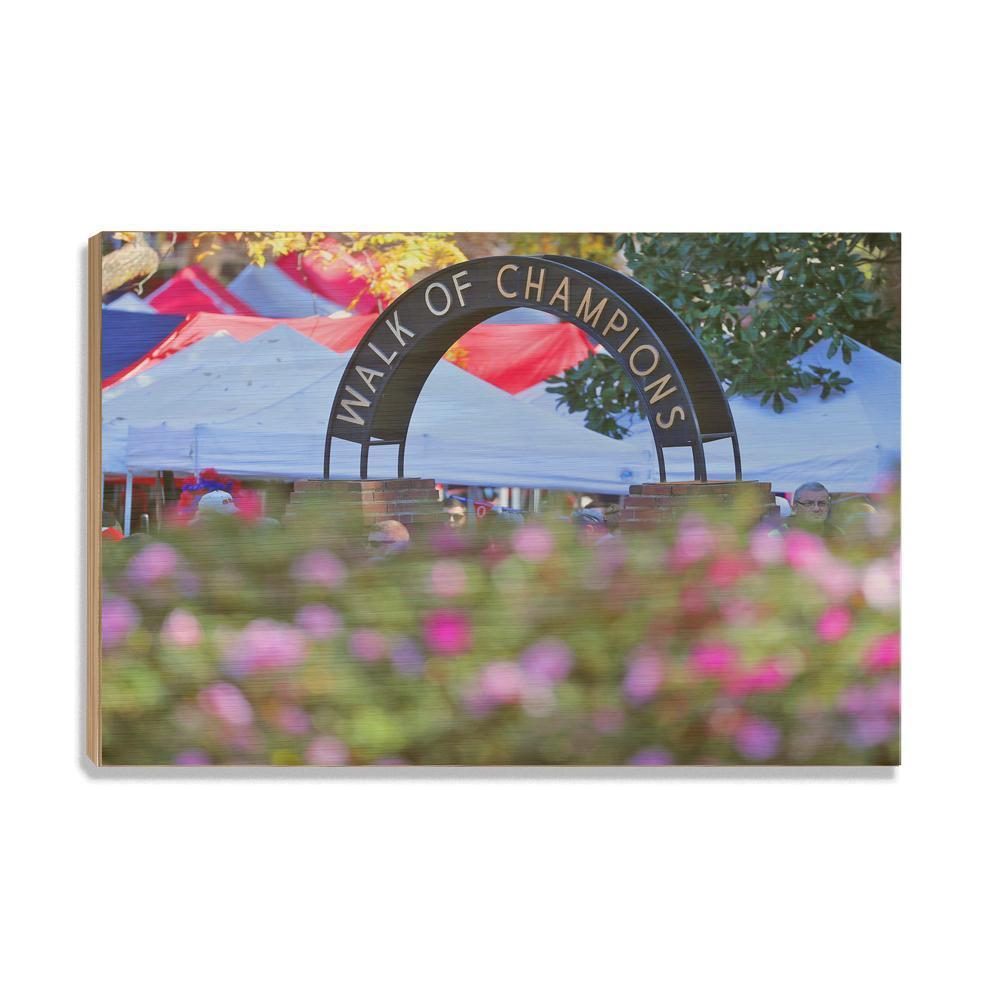 Ole Miss Rebels - Walk of Champions Up Close - College Wall Art #Canvas