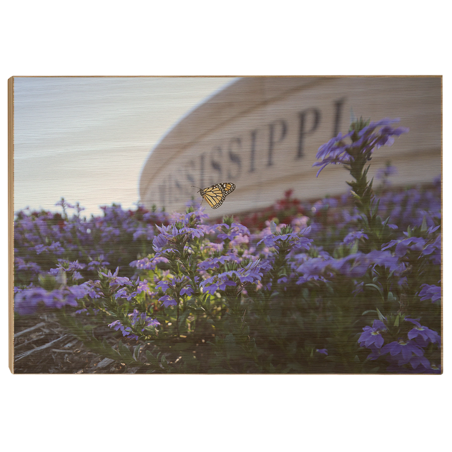 Ole Miss Rebels - Mississippi Butterfly - College Wall Art #Canvas
