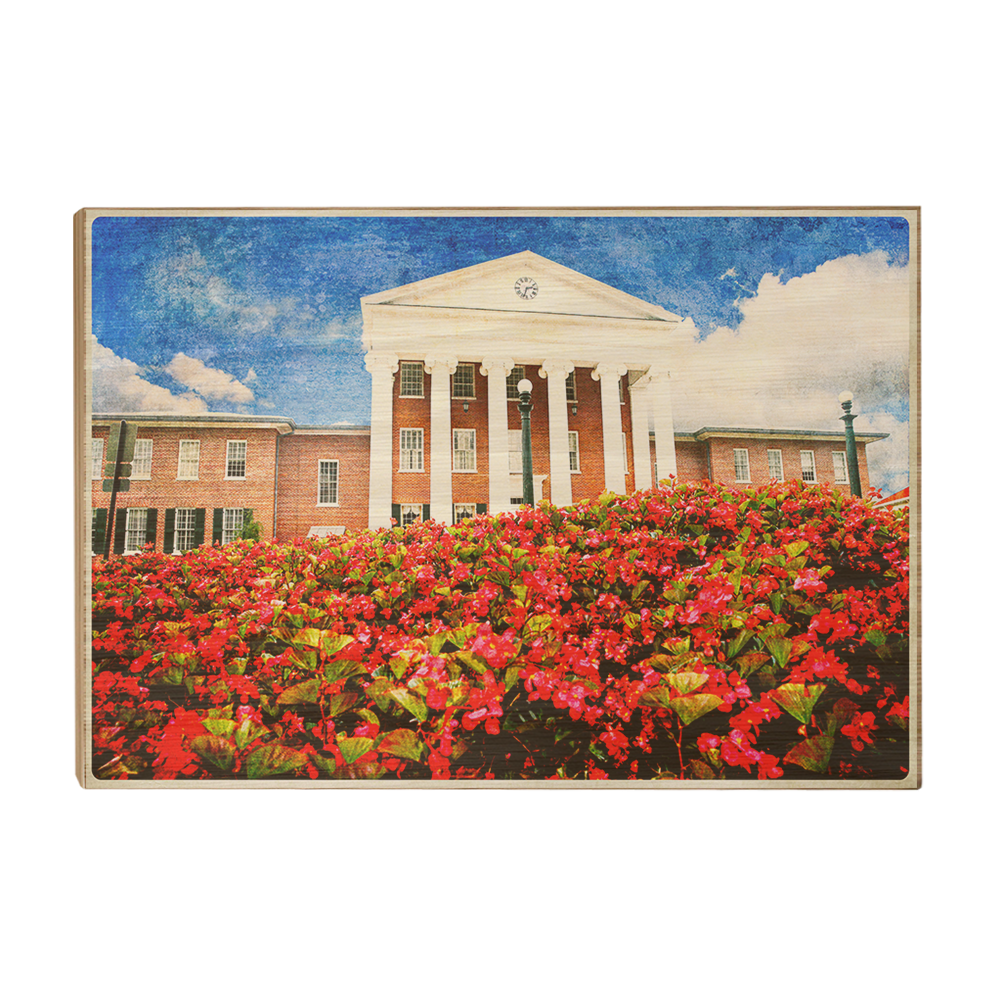 Ole Miss Rebels - Lyceum Paint - College Wall Art #Canvas