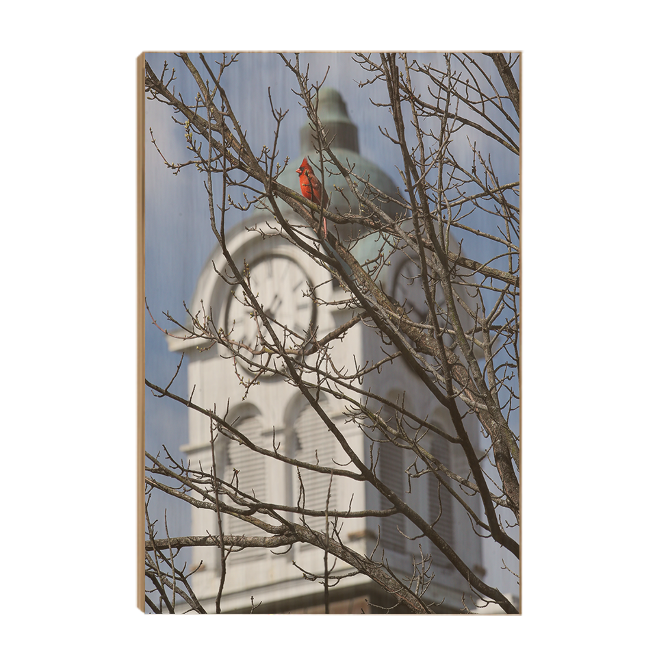 Ole Miss Rebels - Oxford Cardinal - College Wall Art #Canvas