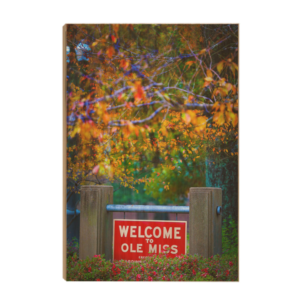 Ole Miss Rebels - Welcome to Ole Miss - College Wall Art #Canvas